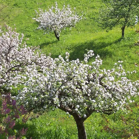 فندق De - Cantal 3*